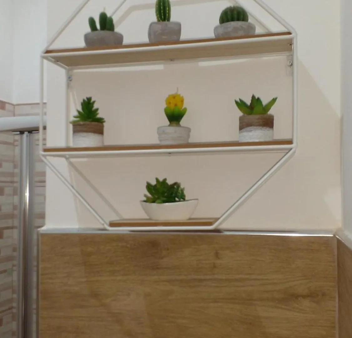 Pensión Hotel Locazione Turistica Madera Bari Italia